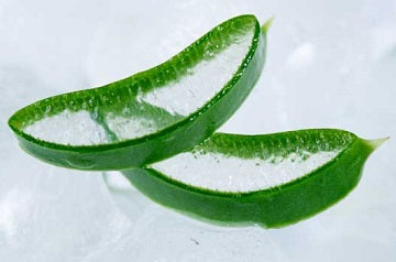 Aloe Vera Ice Cubes – the Perfect Solution for Minor Burns