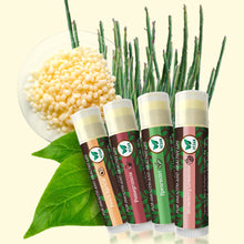 Load image into Gallery viewer, Vegan Lip Balm by Earth’s Daughter, Beeswax Free Lip Balm, Natural, Organic Flavors - 4 Pack of Assorted Flavors, Plant Based Vegan Chapstick, Lip Moisturizer
