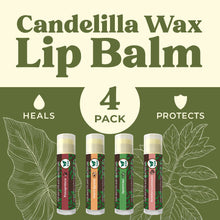 Load image into Gallery viewer, Vegan Lip Balm by Earth’s Daughter, Beeswax Free Lip Balm, Natural, Organic Flavors - 4 Pack of Assorted Flavors, Plant Based Vegan Chapstick, Lip Moisturizer
