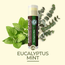 Load image into Gallery viewer, SPF Lip Balm 4-Pack by Earth's Daughter - Lip Sunscreen, SPF 15, Organic Ingredients, Eucalyptus Mint Flavor, Beeswax, Coconut Oil, Vitamin E - Hypoallergenic, Paraben Free, Gluten Free