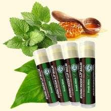 Load image into Gallery viewer, Earth's Daughter Sunscreen Lip Balm SPF 30 - Fresh Mint 4-Pack