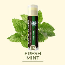 Load image into Gallery viewer, Earth's Daughter Sunscreen Lip Balm SPF 30 - Fresh Mint 4-Pack